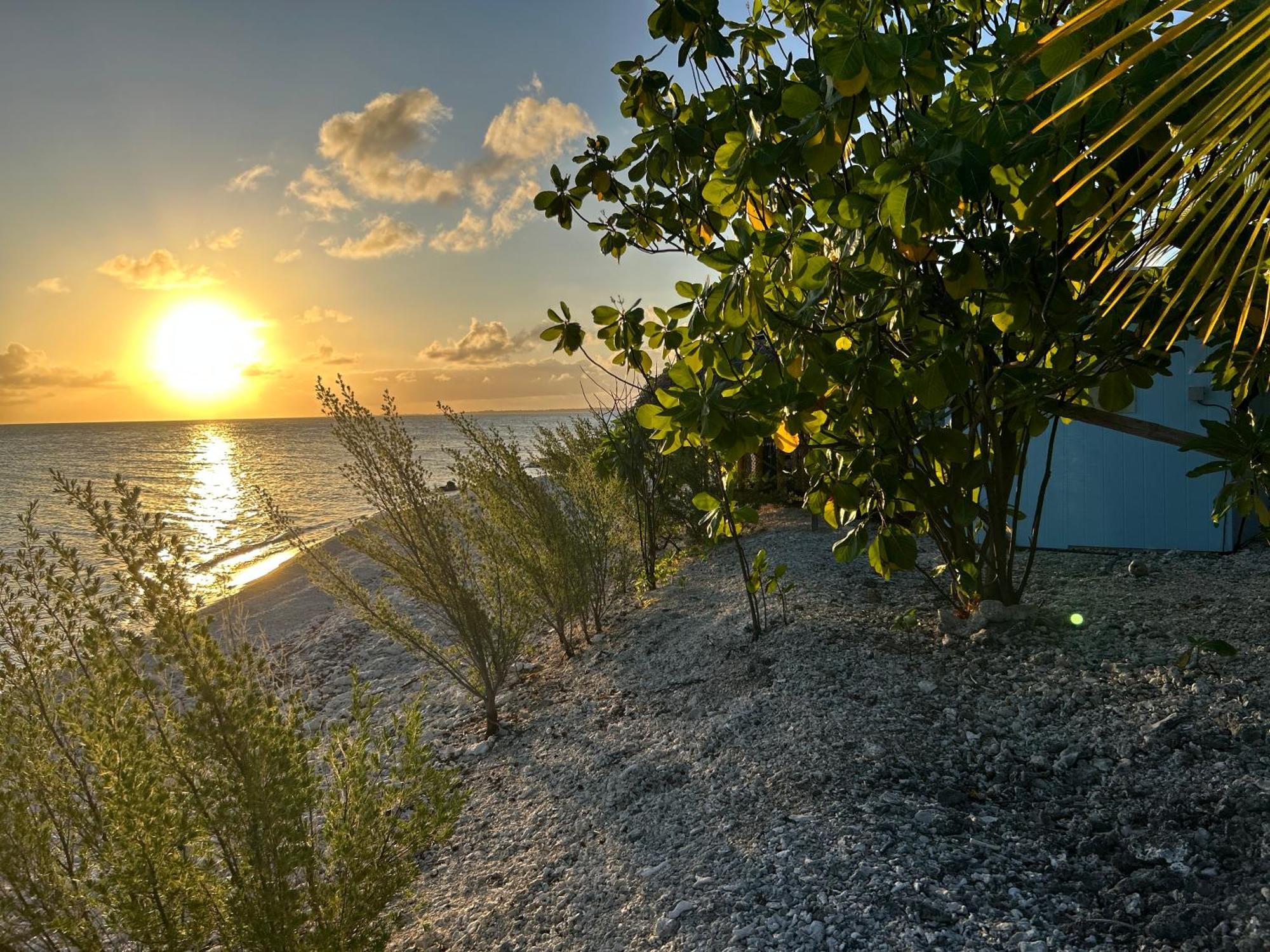 Rangiroa Bliss Hotel Tiputa Eksteriør billede