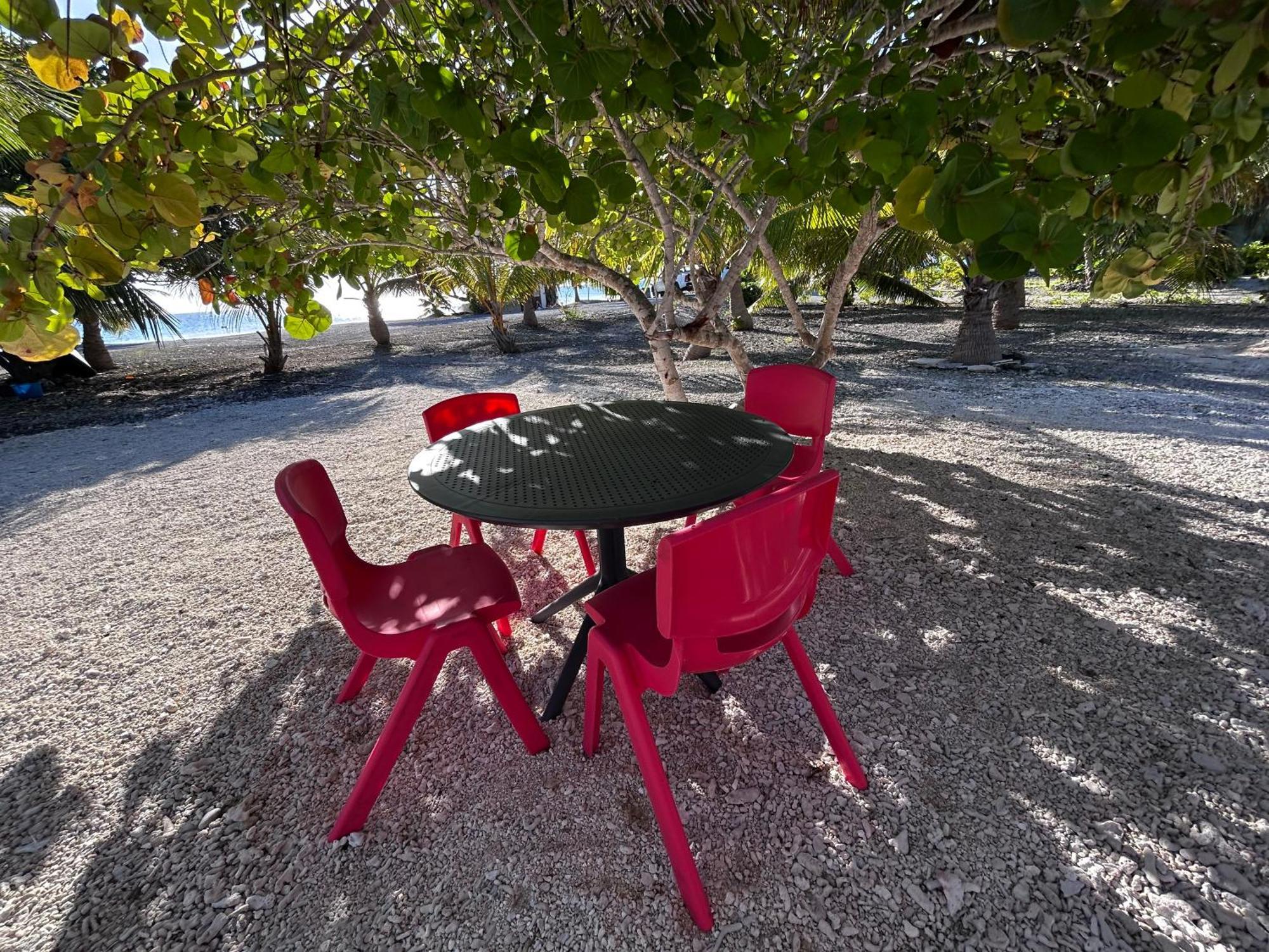 Rangiroa Bliss Hotel Tiputa Eksteriør billede